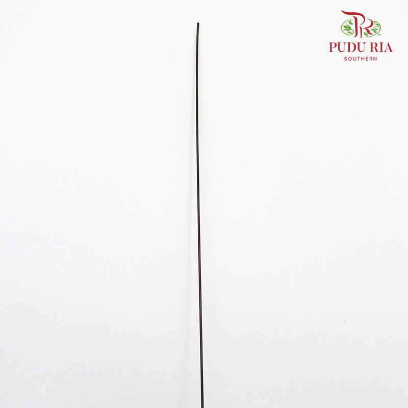Wire Orchid (M) - Pudu Ria Florist Southern