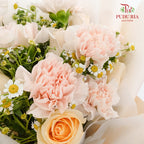 Carnation & Rose Bouquet (10stems) - Pudu Ria Florist Southern
