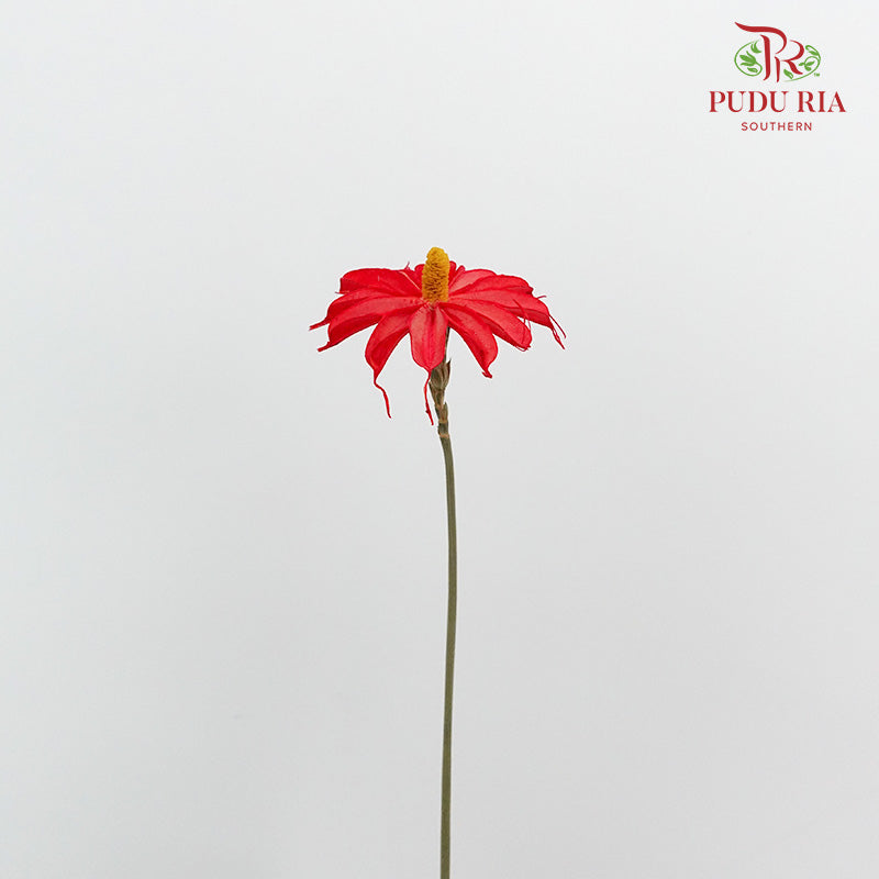 Dry Sapphire Red - Pudu Ria Florist Southern