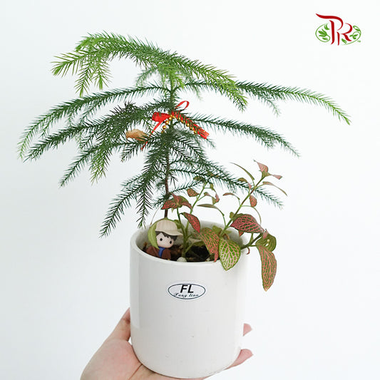 CNY Plant Happy Farm - Pudu Ria Florist Southern