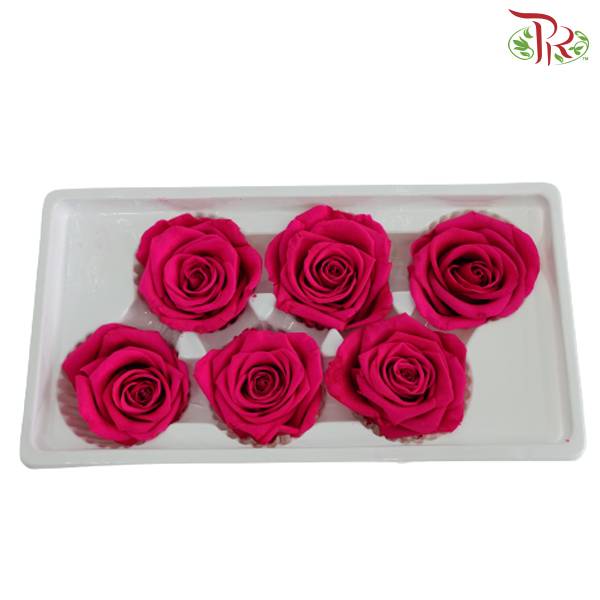 6 Bloom Preservative Rose - Hot Pink - Pudu Ria Florist Southern