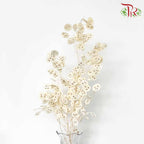 Dry Lunaria Natural / Per Bundle - Pudu Ria Florist Southern