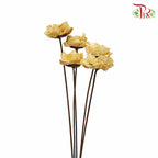 Dry Corn Poppy - Natural - Pudu Ria Florist Southern