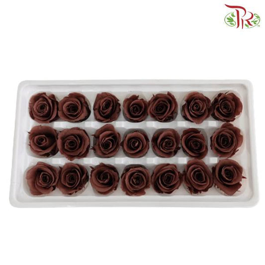 21 Bloom Preservative Rose - Brown - Pudu Ria Florist Southern