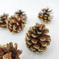 Pine Cone Natural/Glitter 6-7CM (6 Pcs) - Pudu Ria Florist Southern