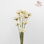 Dry Happy Flower - White - Pudu Ria Florist Southern