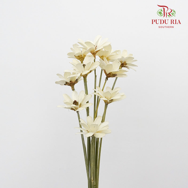 Dry Happy Flower - White - Pudu Ria Florist Southern