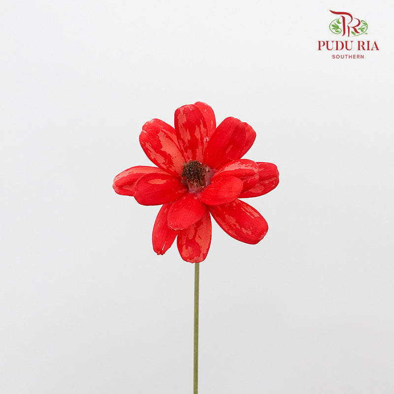 Dry Happy Flower - Red - Pudu Ria Florist Southern