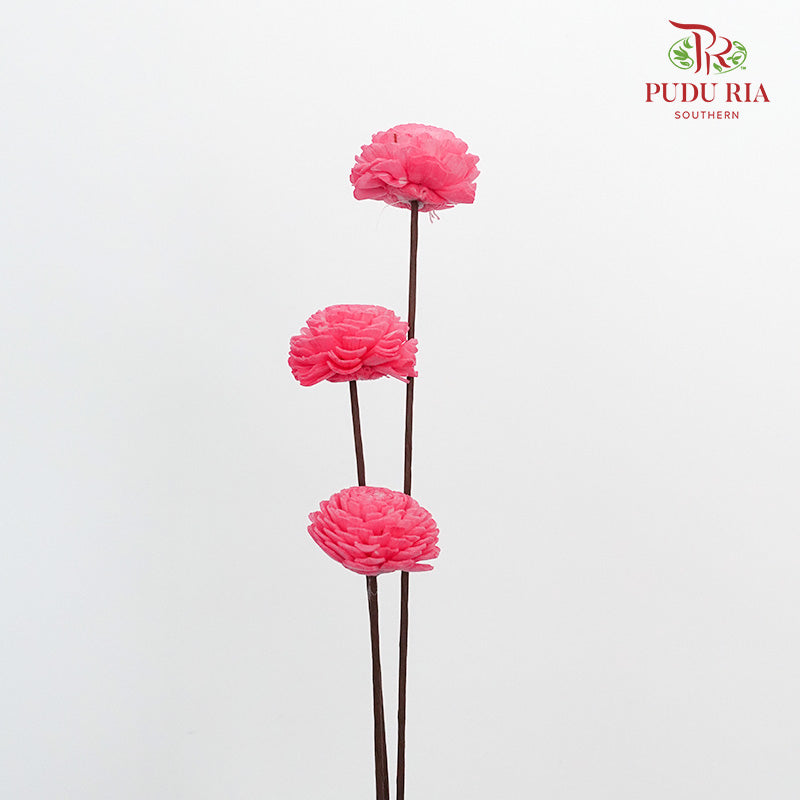 Dry Sola Wood Flower - Pink - Pudu Ria Florist Southern