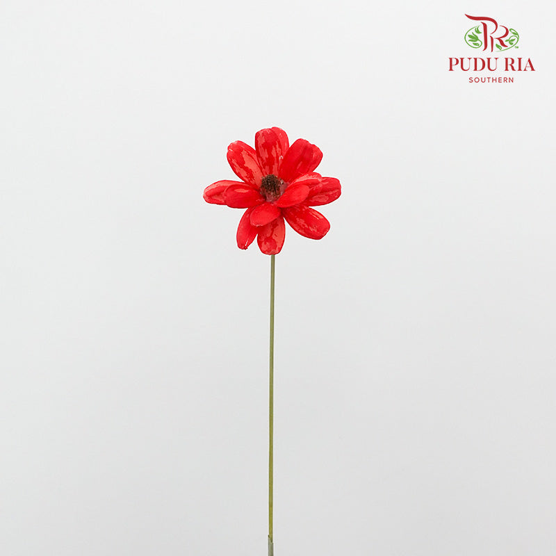 Dry Happy Flower - Red - Pudu Ria Florist Southern