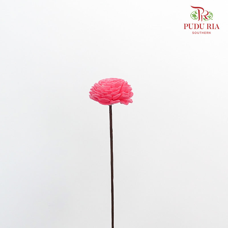 Dry Sola Wood Flower - Pink - Pudu Ria Florist Southern