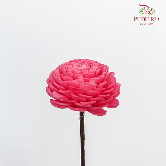 Dry Sola Wood Flower - Pink - Pudu Ria Florist Southern