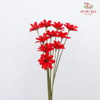 Dry Happy Flower - Red - Pudu Ria Florist Southern