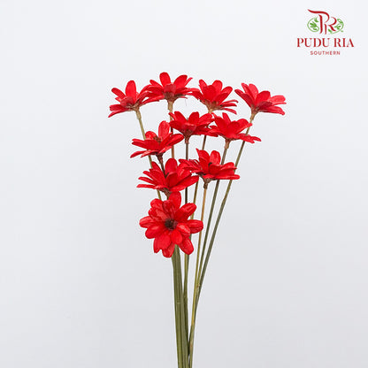 Dry Happy Flower - Red - Pudu Ria Florist Southern