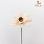 Dry Happy Flower - Soft Pink - Pudu Ria Florist Southern