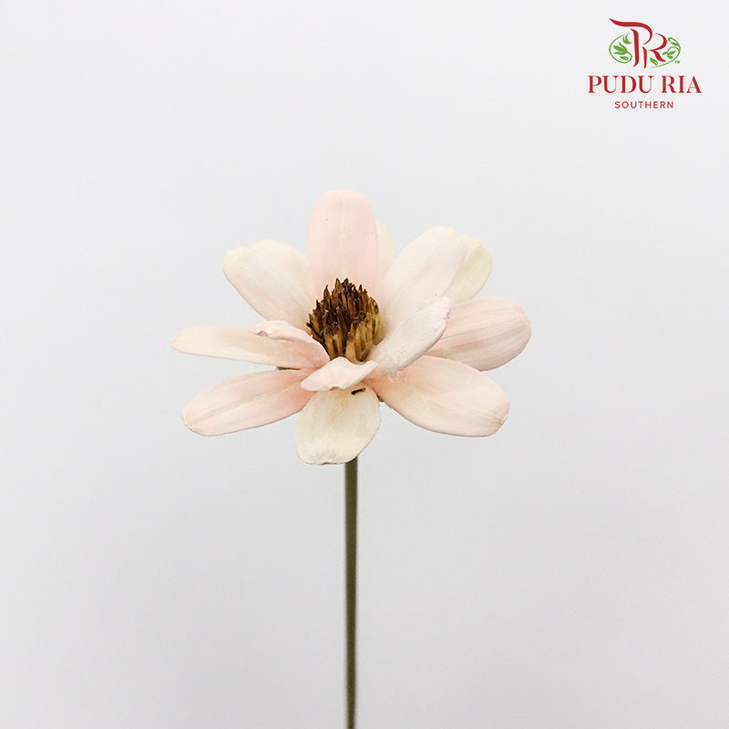 Dry Happy Flower - Soft Pink - Pudu Ria Florist Southern