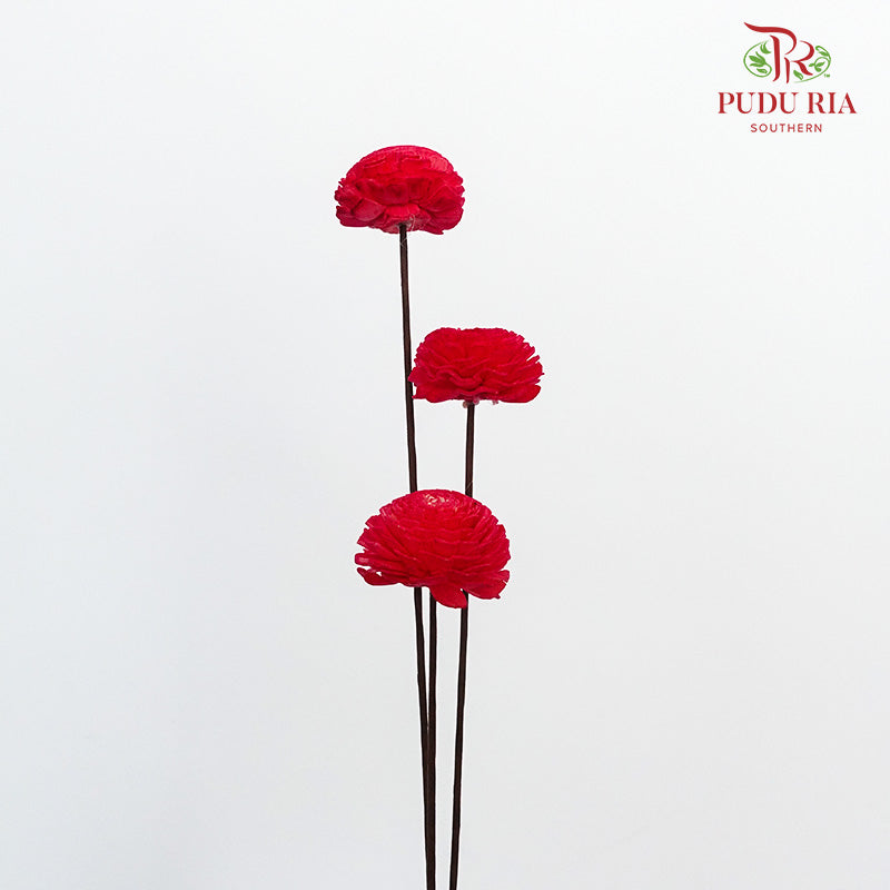 Dry Sola Wood Flower - Red - Pudu Ria Florist Southern