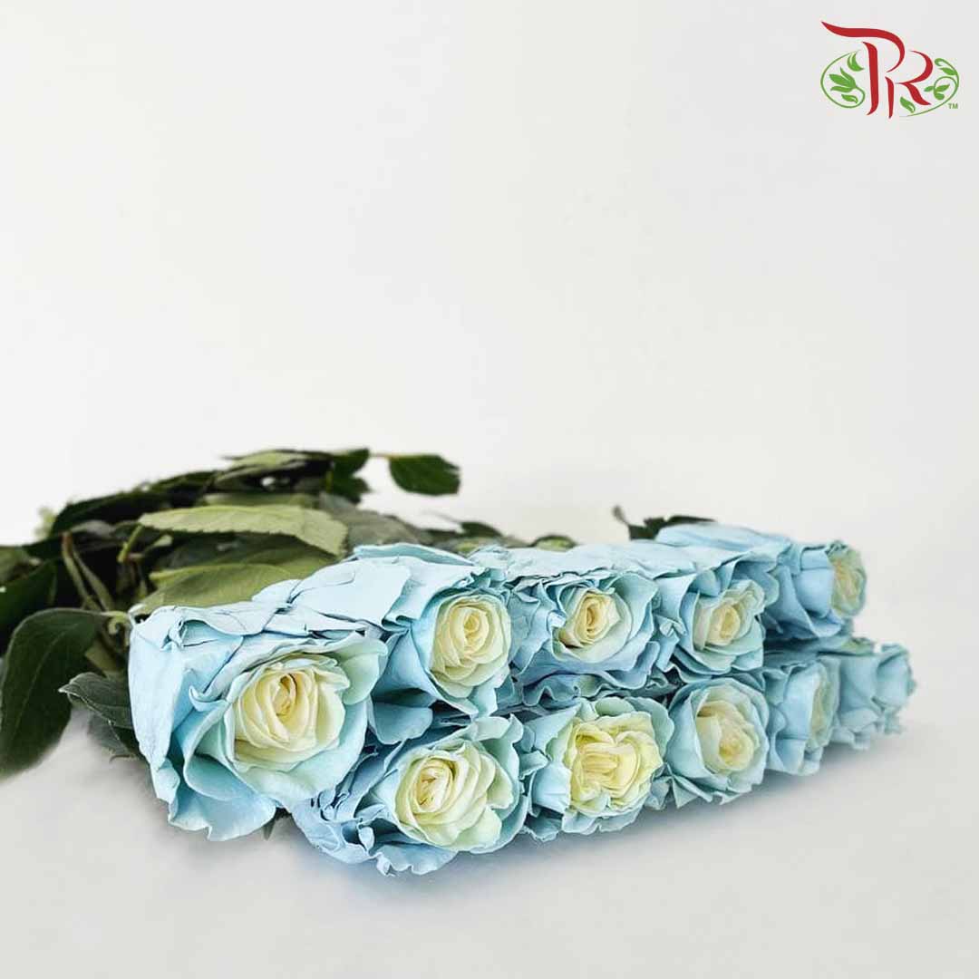 Rose Mondial Dyed Baby Blue (8-10 Stems) - Pudu Ria Florist Southern