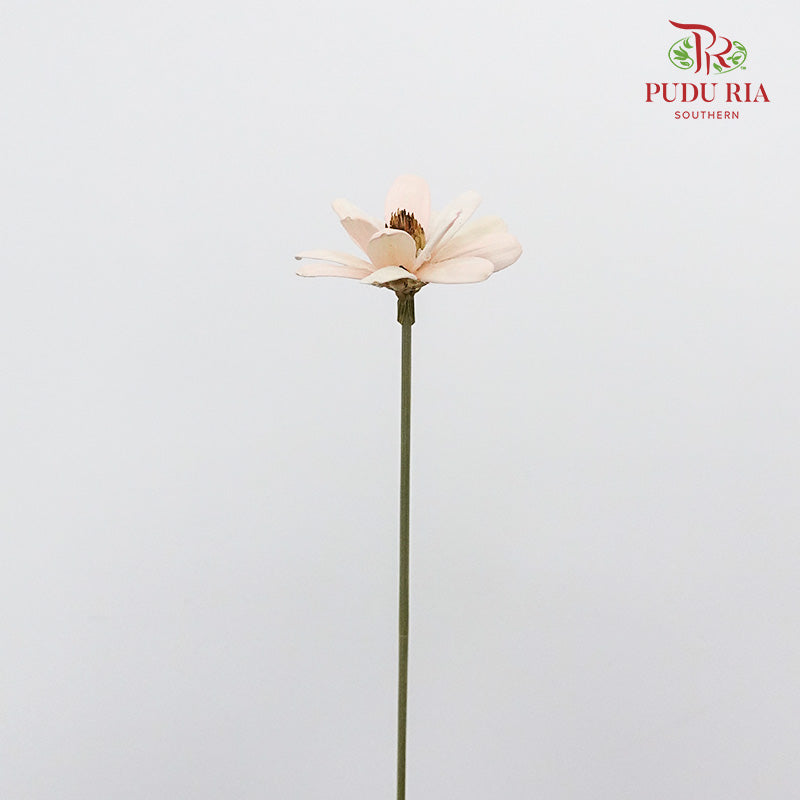 Dry Happy Flower - Soft Pink - Pudu Ria Florist Southern