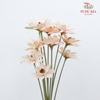 Dry Happy Flower - Soft Pink - Pudu Ria Florist Southern