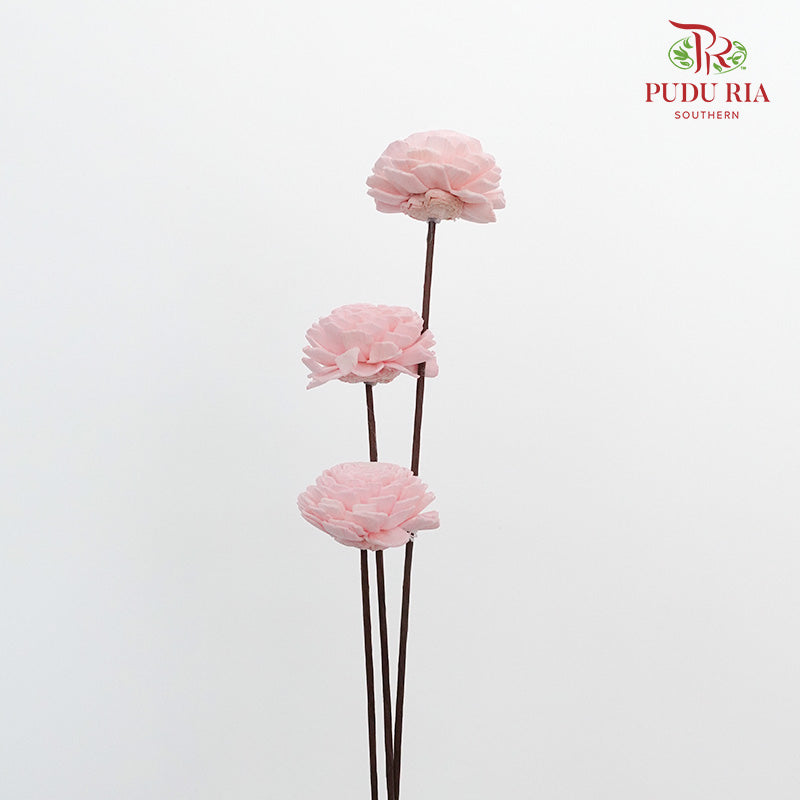 Dry Sola Wood Flower - Soft Pink - Pudu Ria Florist Southern