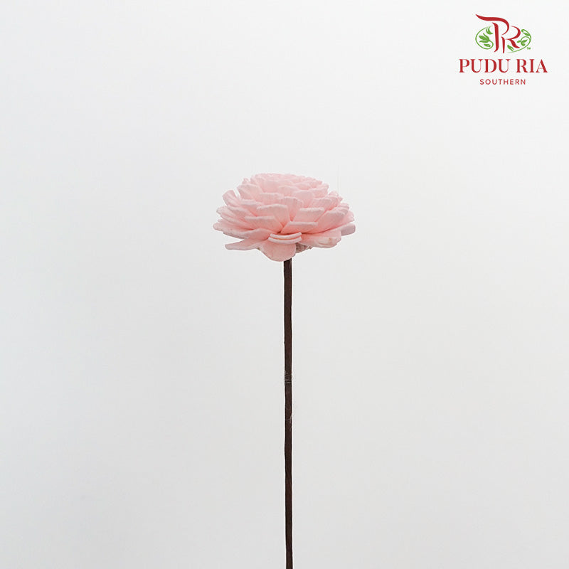 Dry Sola Wood Flower - Soft Pink - Pudu Ria Florist Southern