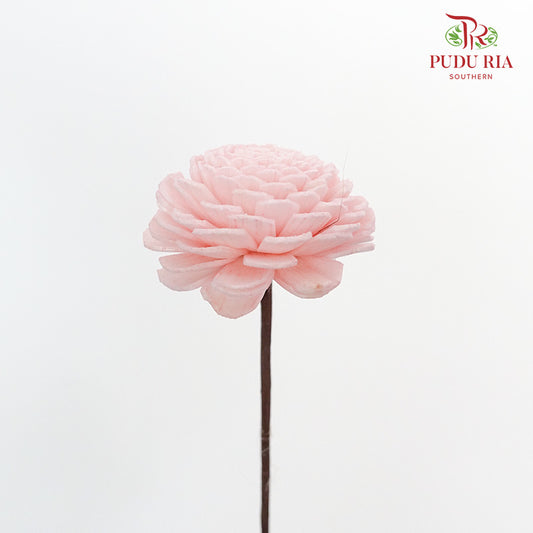 Dry Sola Wood Flower - Soft Pink