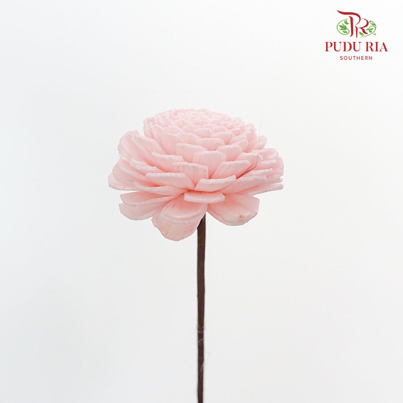 Dry Sola Wood Flower - Soft Pink - Pudu Ria Florist Southern