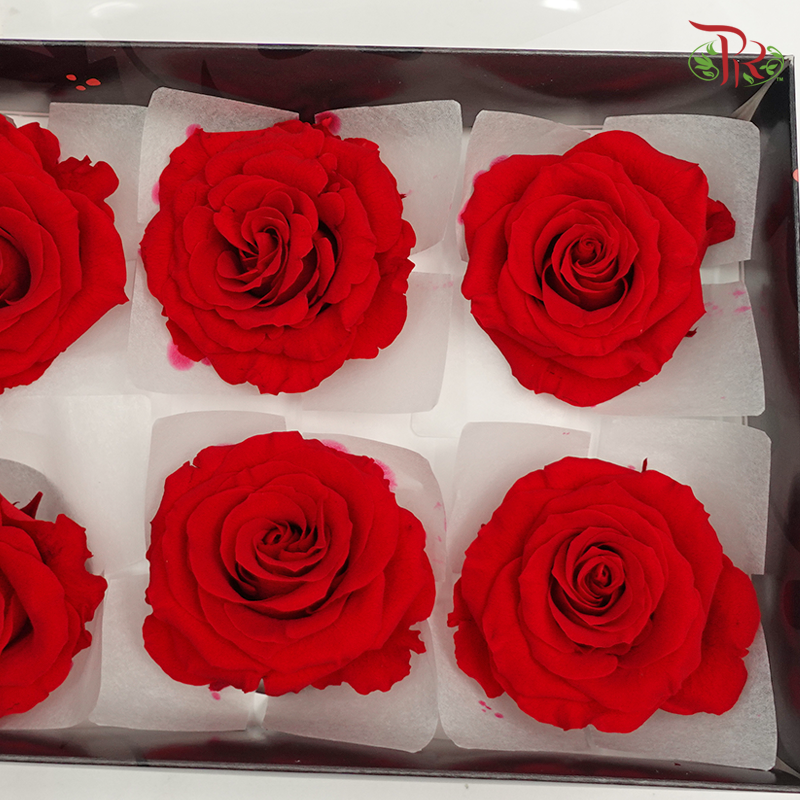 Preservative Full Bloom Rose (6 Blooms) - Red