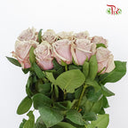Rose Wild Moss (8-10 Stems) - Pudu Ria Florist Southern