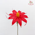 Dry Sapphire Red - Pudu Ria Florist Southern