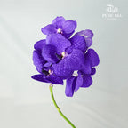 Vanda Orchid Blue - per stem - Pudu Ria Florist Southern
