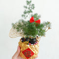 CNY Pot Plant Arrangement 蓬莱松 - Pudu Ria Florist Southern