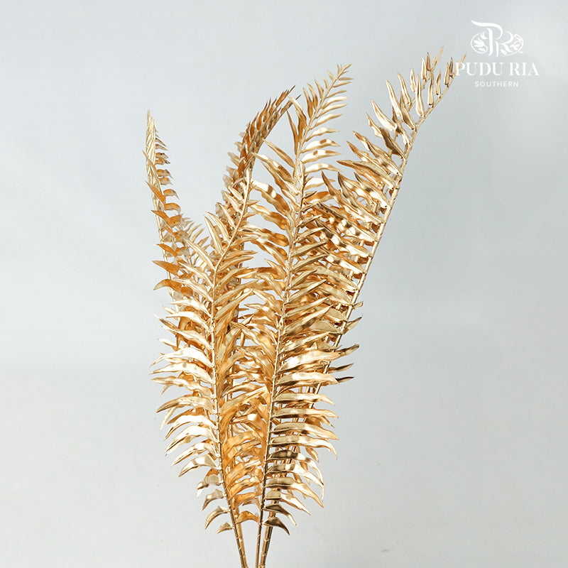 Gold Fern Leaf (2 stems) - Pudu Ria Florist Southern