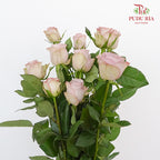 Rose Cosette (8-10 Stems) - Pudu Ria Florist Southern