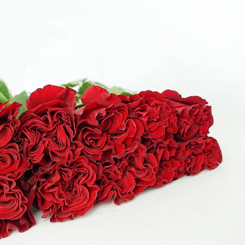 Rose Heart (8-10 Stems) - Pudu Ria Florist Southern