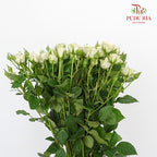 Rose Spray First Snow (8-10 Stems) - Pudu Ria Florist Southern