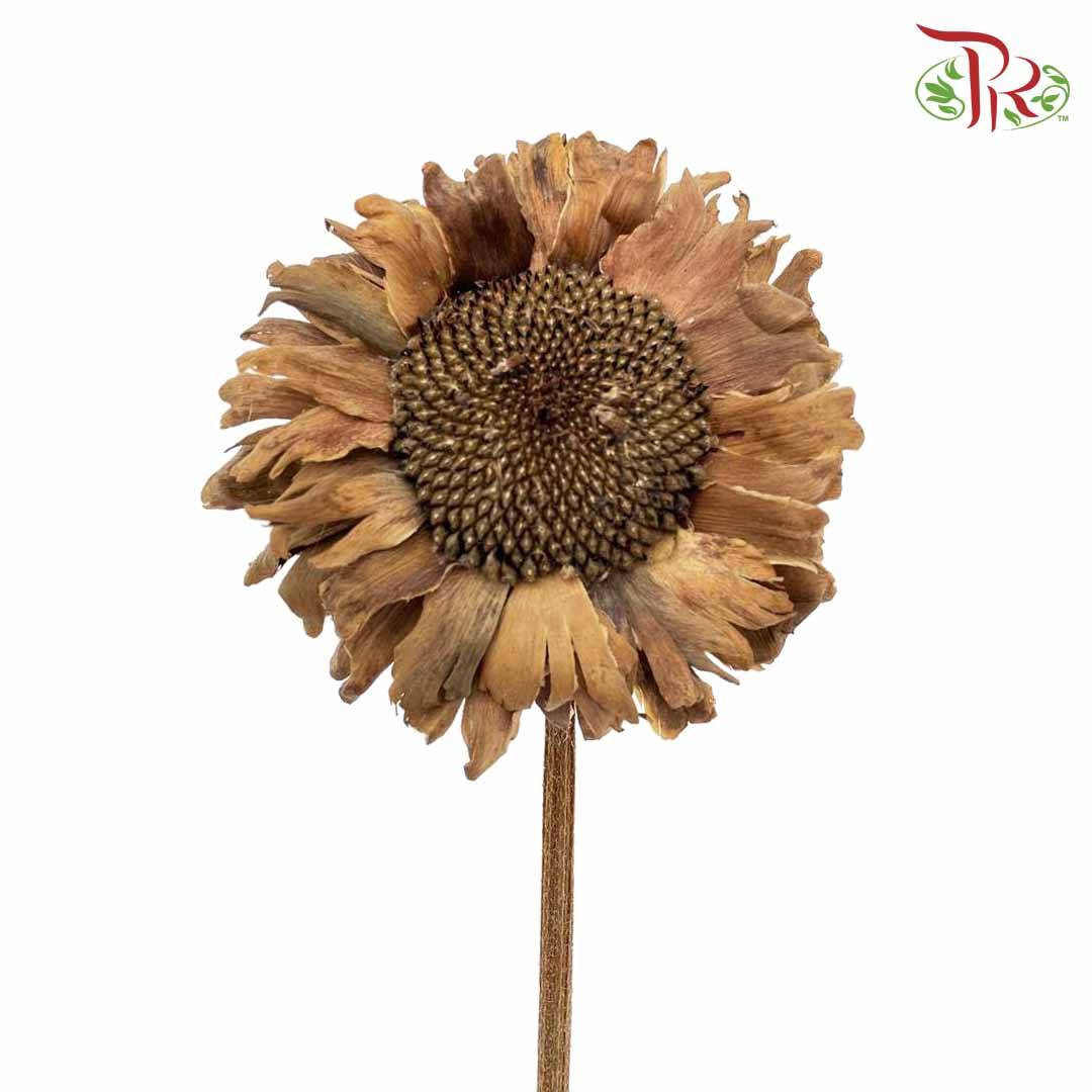 Dry Sunflower - Big - Pudu Ria Florist Southern