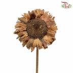 Dry Sunflower - Big - Pudu Ria Florist Southern