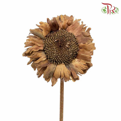 Dry Sunflower - Big - Pudu Ria Florist Southern