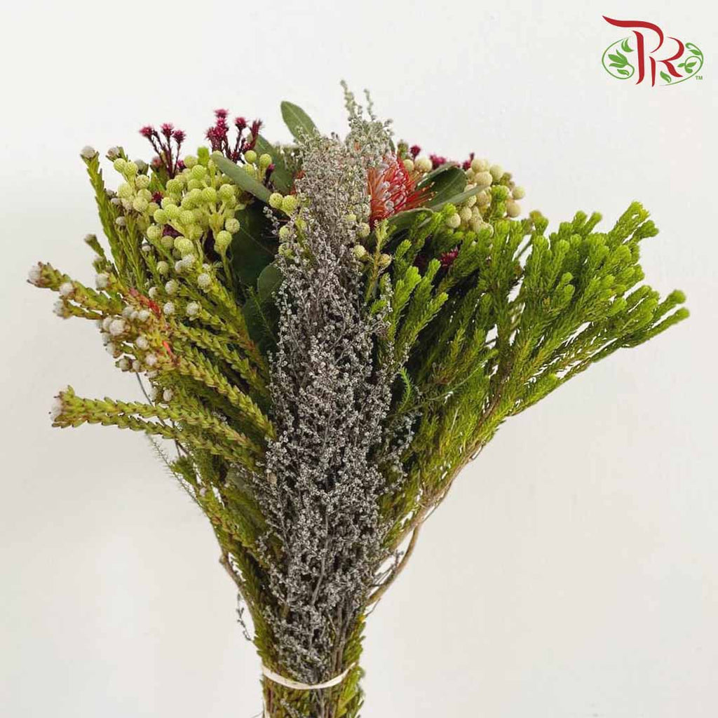 Safari Mix (Premium 4) - Pudu Ria Florist Southern