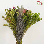 Safari Mix (Premium 4) - Pudu Ria Florist Southern