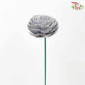Dry Aeschynomene Aspera - Grey - Pudu Ria Florist Southern