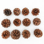 Pine Cone Natural 4-5CM (12 Pcs) - Pudu Ria Florist Southern