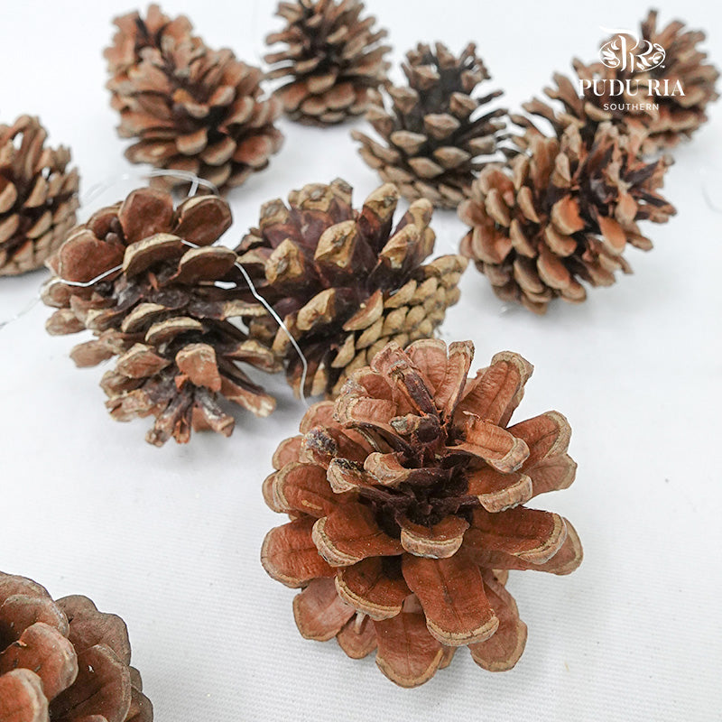 Pine Cone Natural 4-5CM (12 Pcs) - Pudu Ria Florist Southern