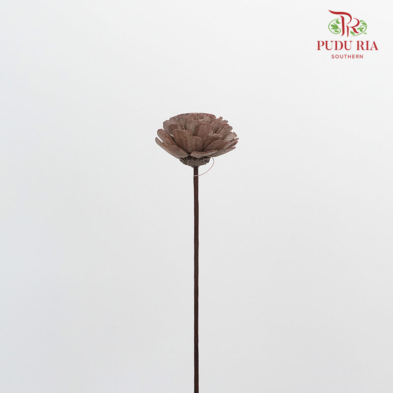 Dry Sola Wood Flower - Brown - Pudu Ria Florist Southern