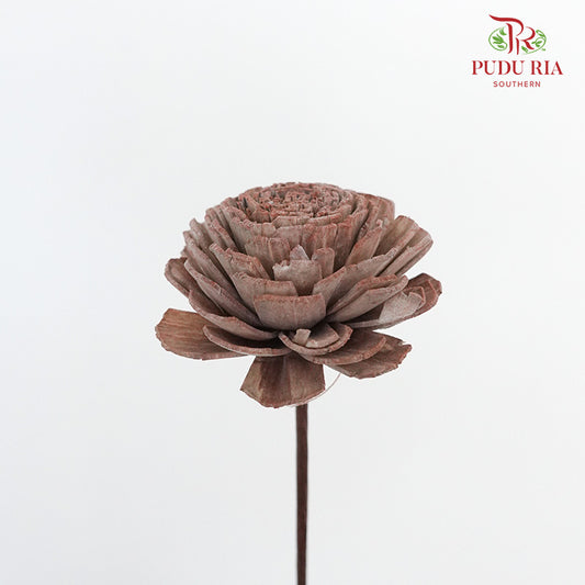 Dry Sola Wood Flower - Brown - Pudu Ria Florist Southern