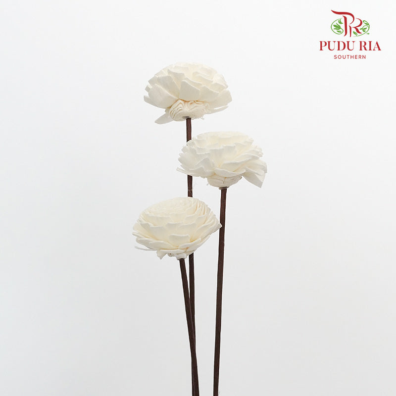 Dry Sola Wood Flower - White - Pudu Ria Florist Southern