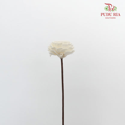 Dry Sola Wood Flower - White - Pudu Ria Florist Southern