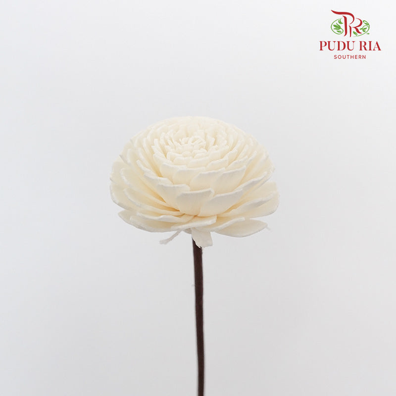 Dry Sola Wood Flower - White - Pudu Ria Florist Southern